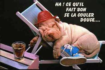 Prépa. physique 17/05/26 :  Repos