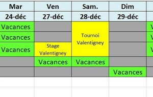 Activités vacances de Noël 2024