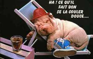 Prépa. physique 17/05/26 :  Repos