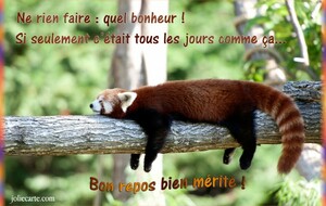 Cours judo groupe 3 vendredi 05/06/26 annulé