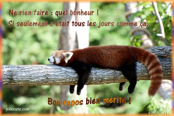 Cours judo groupe 3 vendredi 05/06/26 annulé