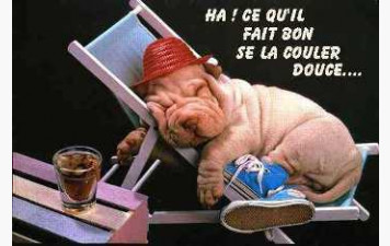 Prépa. physique 17/05/26 :  Repos