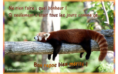Cours judo groupe 3 vendredi 05/06/26 annulé