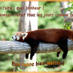 Cours judo groupe 3 vendredi 05/06/26 annulé